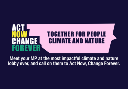 Act Now, Change Forever