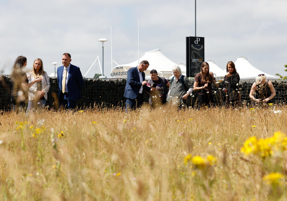 Climate Action North